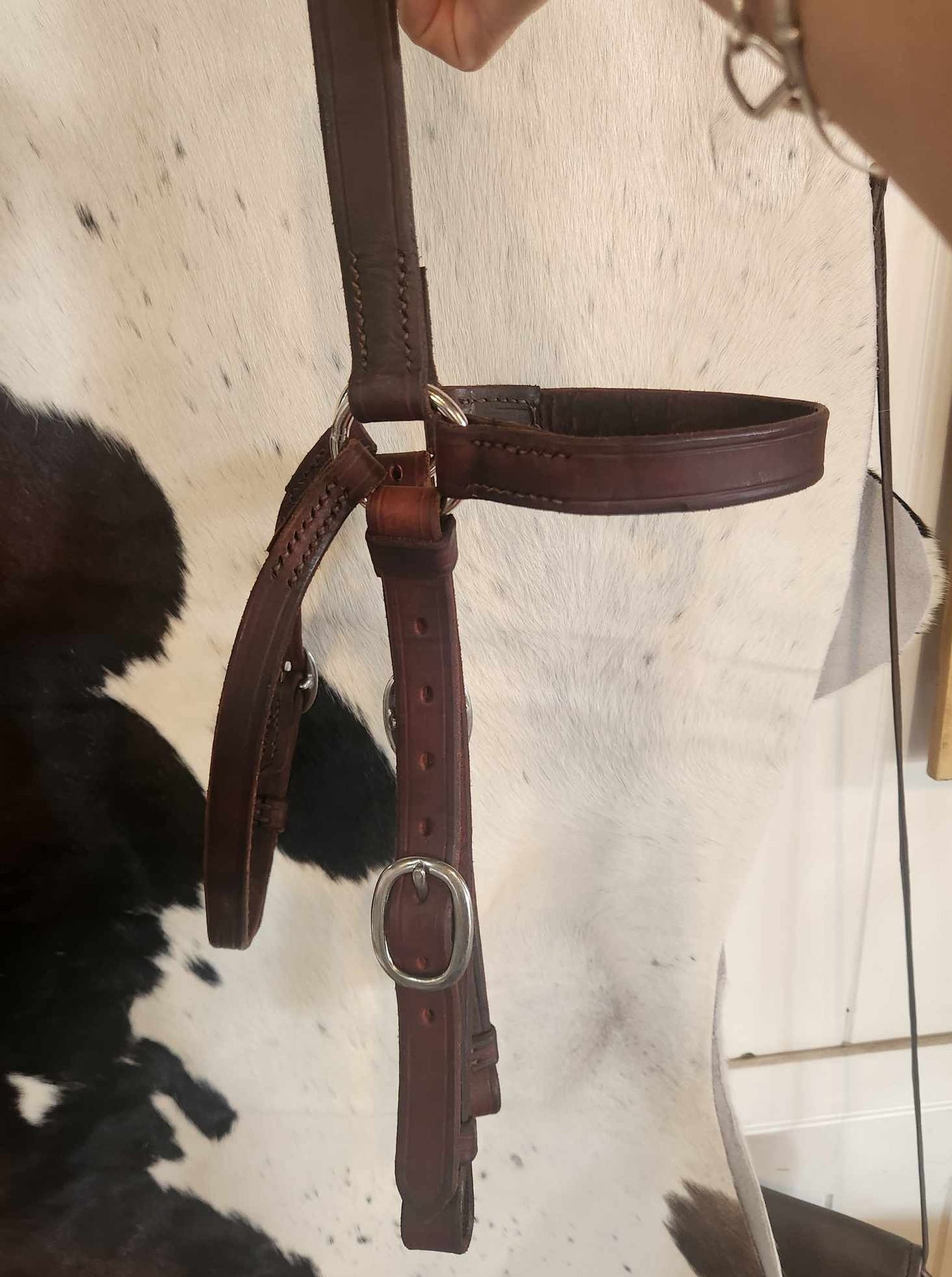 horse headstalls, horse headstall,
headstalls for horses, headstall western, headstall for horse, headstall for horses,
bridle headstall